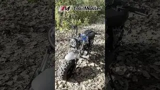 Trail Master Hurricane 200x PRO Mini Bike