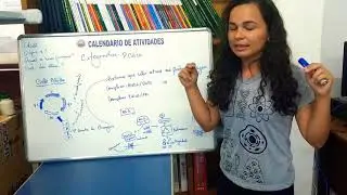Prote&iacute;na Cdc20 - citogen&eacute;tica