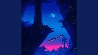 Beneath the Quiet Moon