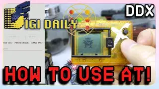 How To Use Alpha Terminal! (DDX)