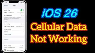 How to Fix Cellular Data Not Working on iPhone after iOS 26 Update