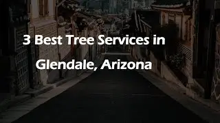 3 Best Tree Services in Glendale, Arizona | Arborists