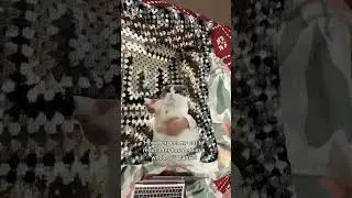 He couldn&rsquo;t care less #crochet #cats #reaction