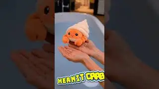 Подводные животные 🐠🐙 #морскиеживотные #детскоеобучение #шорты