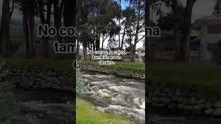 El sonido del r&iacute;o Yanuncay desde el coraz&oacute;n del Jard&iacute;n Bot&aacute;nico de Cuenca 🌿💧