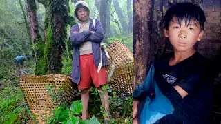 jungle man son Nuwa is living with friends on hill cowshed