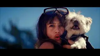 Jaxon Demme- Gang With My Animals [Official Music Video]