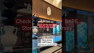 BAPE Store in New Jersey - AMERICAN DREAM MALL Opened on 12/21/2024 have you been? #bape #bapesta