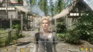 Skyrim SE 600+ Mods Test