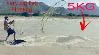 Unbelievable cast Nat fishing videos !catching lost of fish by cast Nat fishing videos