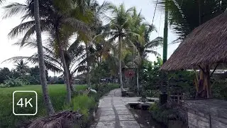Relaxing Nature Walk in Ubud, Bali | Soothing Water & Bird Sounds for Sleep & Study | 4K UHD ASMR