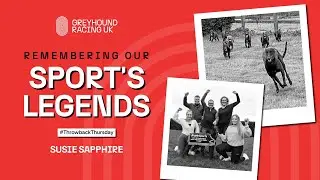 Throwback Thursday: Susie Sapphire &ndash; 2021 Irish Greyhound Derby Champion | GRUK