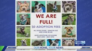 Lexington Humane Society offering free adoptions for dogs