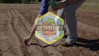 Victory through Gardening: Sign-up today!