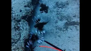 140’ Woop Woop