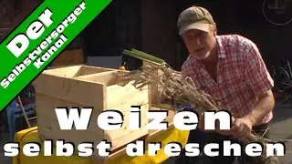 Weizen dreschen mit selbstgebauter Dreschmaschine