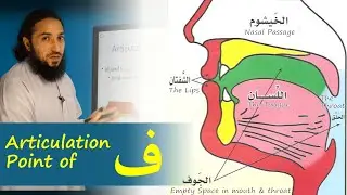 Articulation Point (Makhraj) of Faa ( ف ) | Lesson 20