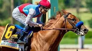 TAIBA, the new promise that could make history in the Kentucky Derby 🌷🏆🐎🐎