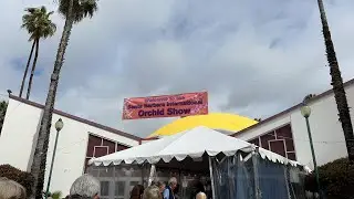 Santa Barbara Orchid Show 2023