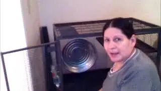 All Metal Chinchilla or Rat Excercise Wheel Review