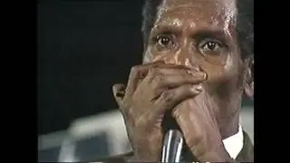 Chicago Blues All Stars - All The Things We Used To Do