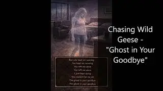 Chasing Wild Geese - 