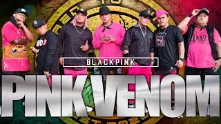 PINK VENOM | Black Pink | Zumba | Southvibes