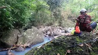 The Small Shrimp Is Hide Under the Big Rock