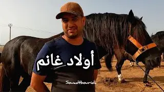 ما يمكنش تشوف هاد المقدمين ومتجيش . اصحاب الخيول الملكية تدخل لمهرجان جمعة أولاد غانم