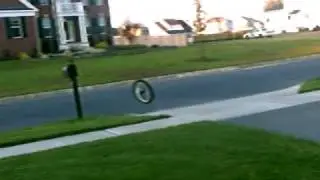 Tire Bounce