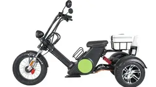 Ebike Golf Scooter Three Wheels 12 Inch Fat Tire with golf bag Holder Cargo Park