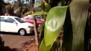 XOLO Q3000 sample video shot in 1080p resolution