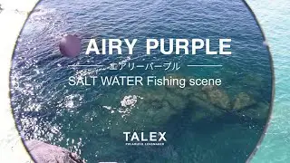 エアリーパープルの見え方｜海編【TALEX公式】