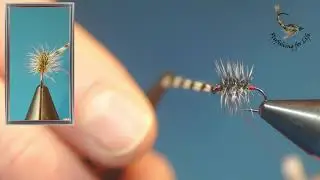 Trockenfliege für Bindeanfänger