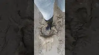 Superga wellies in muddy water