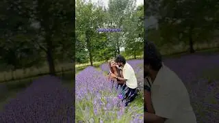 Tag ur love #tamil #travel #trending #love #trendingshorts #lavender #lavendergaming #wellington