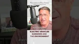 EV Subsidies are Non-Sense!