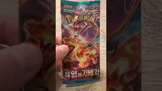 Pok&eacute;mon Ruler of the Black Flame opening - Korean (Charizard!) #pokemon #pokemoncards #pokemontcg
