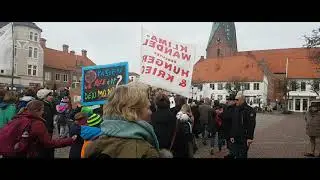 Impressionen Fridays for Future demo Eutin