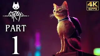 STRAY Walkthrough PART 1 (PS5) No Commentary Gameplay @ 4K 60ᶠᵖˢ ✔