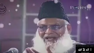How to Be a Pious Muslim