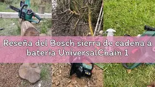 Rese&ntilde;a del Bosch sierra de cadena a bater&iacute;a UniversalChain 18 (sin bater&iacute;a, caja de cart&oacute;n, sistema