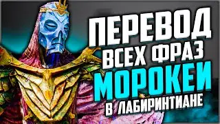 Skyrim ٠ Перевод Всех Фраз Морокеи в Лабиринтиане