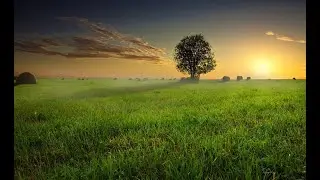 A Motivational Meditation for the New Year