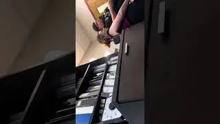 A bitter baby mother who chose to throw a fit of dad showing up to go on a school walk…school event