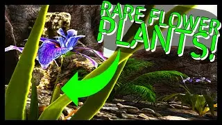 LOST ISLAND RARE FLOWERS PLANT!