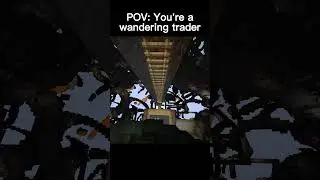 I Just Wanted To Trade... #minecraft #shorts