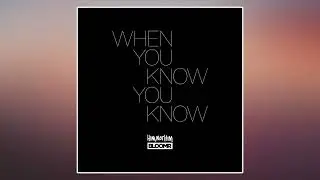 HIM, NOT HIM & BLOOMR - When You Know You Know (Official Audio Stream)