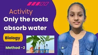 Activity-2 only the roots absorb water || Biology || To show that roots absorb water ||