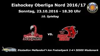 23.10.16 Eishockey Oberliga Nord -  ESC Wedemark Scorpions vs.  MEC 04 Halle Saale Bulls